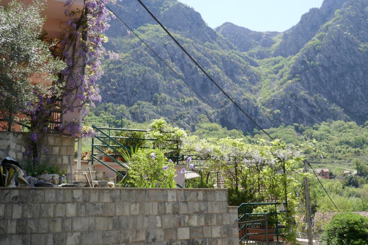 Ecohouse Risan Studio Exterior photo