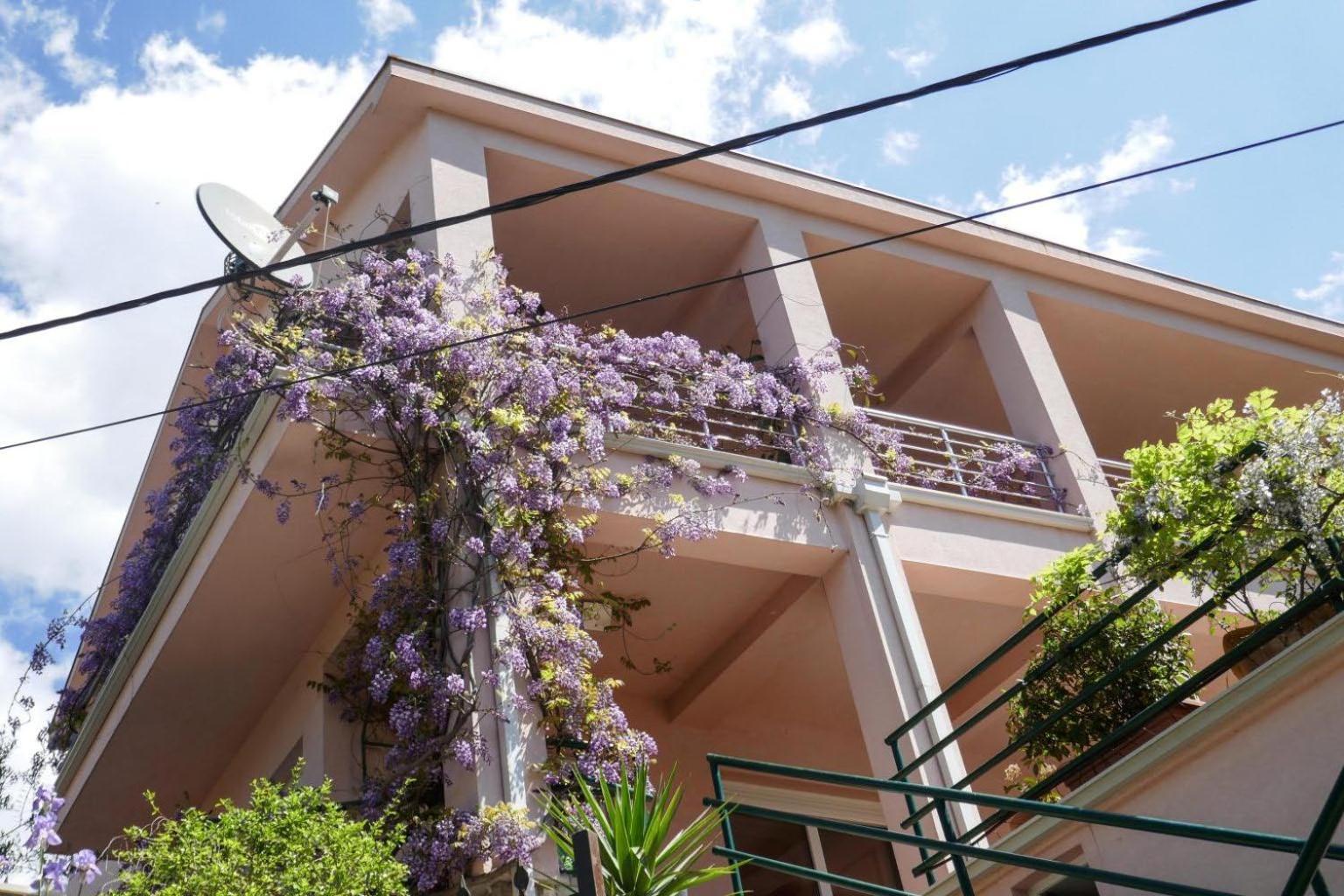 Ecohouse Risan Studio Exterior photo